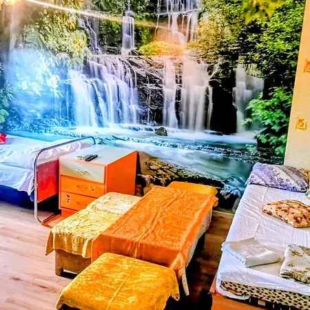 за гости мириям بيت ضيافة ديميتروفغراد